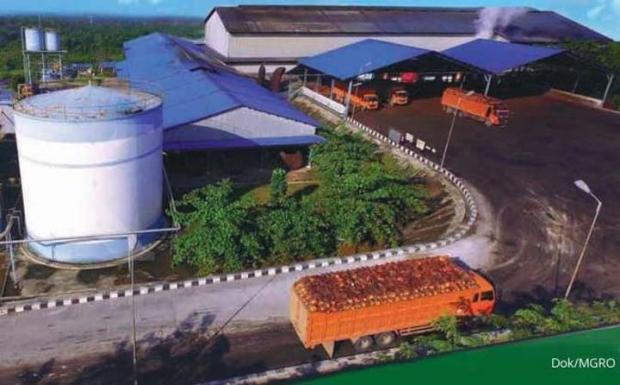 Bangun Kilang CPO di Dumai, Mahkota Group Akuisisi Pabrik Kelapa Sawit Rp120 Miliar