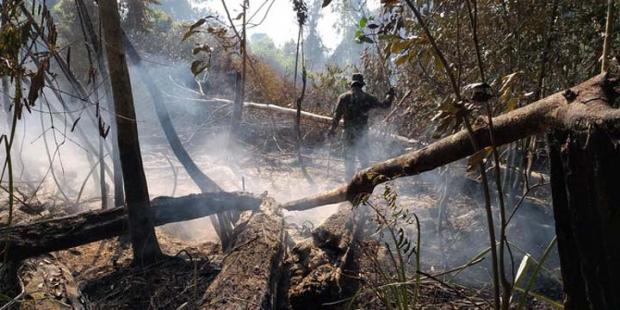 Polisi Tetapkan 68 Petani sebagai Tersangka Kebakaran Hutan dan Lahan di Riau