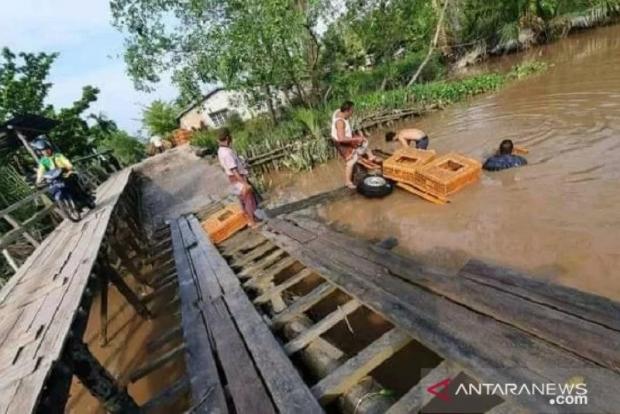 Lewati Jembatan tak Layak di Desa Pulaukecil Indragiri Hilir, Mobil Pengangkut Ratusan Ayam Tercebur ke Sungai