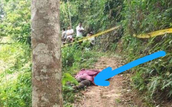 <b>Sesosok Mayat Bersimbah Darah di Kebun Karet yang Semula Dikira Tewas Akibat Hewan Buas, Ternyata Korban Pembunuhan</b>