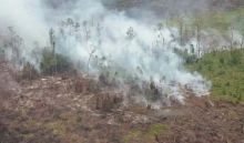 dalam-sebulan-polda-riau-terima-6-laporan-kasus-kebakaran-hutan-dan-lahan