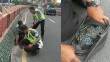 alamak-bersihkan-flyover-pekanbaru-polisi-berhasil-kumpulkan-7-kilo-paku