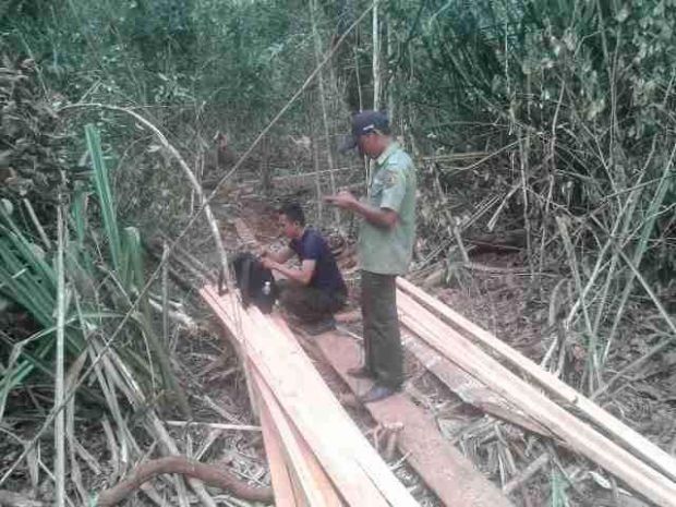 Lagi Patroli Kebakaran Lahan di Suaka Margasatwa Pulau Besar-Siak, Tim Polhut Malah Temukan Terduga Pelaku Illegal Logging