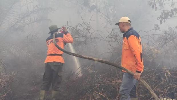 Libur Lebaran, 50 Hektare Lahan Tidur Milik Masyarakat di Kota Dumai Terbakar