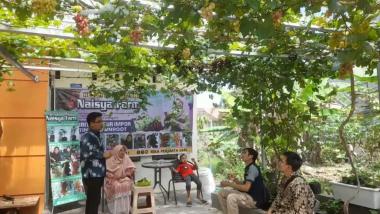bberawal-dari-hobi-di-halaman-rumah-kini-kebun-anggur-suherman-berubah-jadi-cuanb