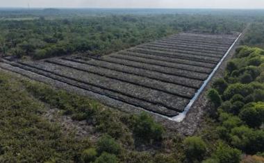 brambah-hutan-di-rokan-hilir-meski-sudah-dilarang-aparat-desa-kini-sa-berstatus-tersangkab