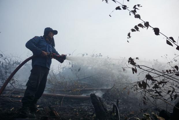 30 Hektar Lahan di Perbatasan Siak-Bengkalis Terbakar