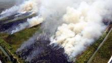 12-titik-panas-terdeteksi-di-riau-indikasi-kebakaran-hutan
