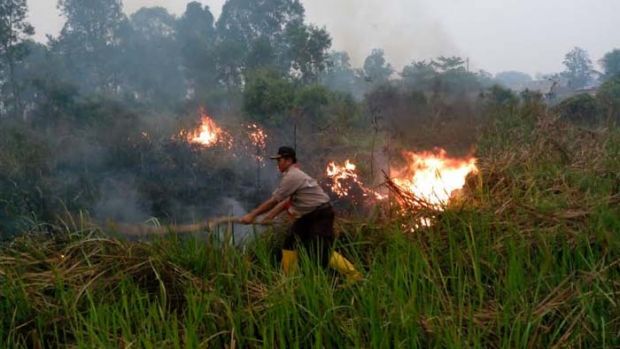 Rusia dan Jepang Acungkan Jempol, Pramuka Ikut Terjun Padamkan Kebakaran Hutan dan Lahan