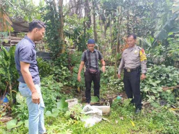 Polisi Temukan Tanaman Ganja Dalam Pot di Simpang SPA Desa Dundangan Pelalawan