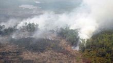 ada-indikasi-kebakaran-hutan-dan-lahan-titik-api-kembali-muncul-di-enam-wilayah-riau