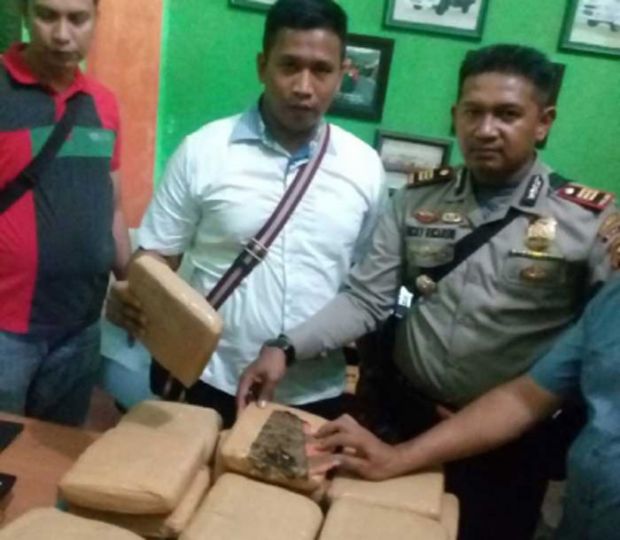 Mau Dikirim ke Palembang, 30 Ganja Asal Aceh Tertangkap di Pekanbaru