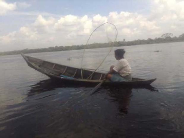 Ribuan Ikan Mati Misterius di Sungai Kampar Pelalawan