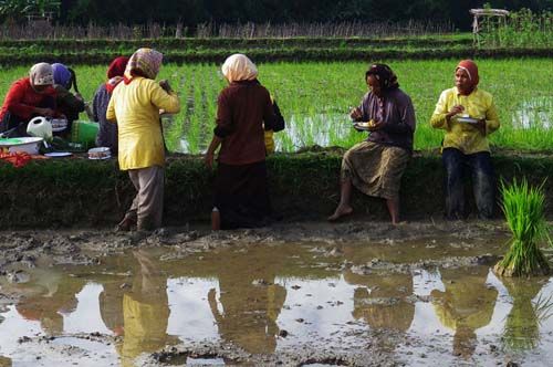 Petani Riau Jangan Mau Jadi Kuli di Negeri Sendiri