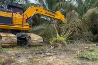 bpihak-yang-menguasai-lahan-sudah-ditegur-pemprov-riau-beri-tenggat-waktu-3-bulan-untuk-tumbangkan