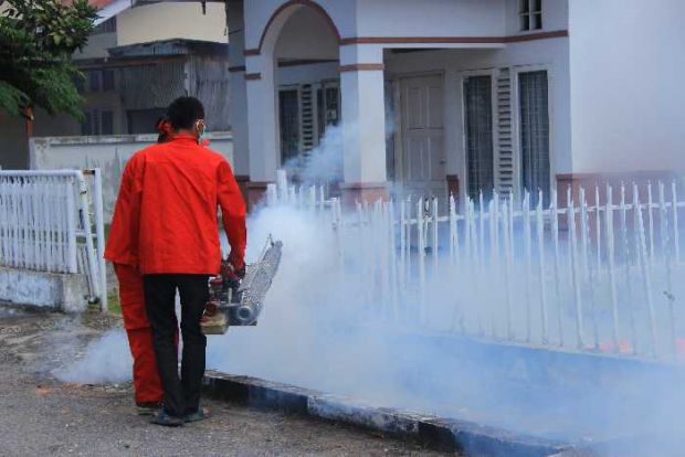 Dari Jalan Dahlia, Aksi Membasmi Aedes Aegypti Dimulai...