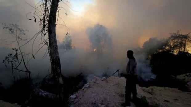 Kebakaran Hutan Riau Meluas dan Naik 150 Hektar Hanya dalam 48 Jam, Kini Totalnya Sudah 1.136 Hektar