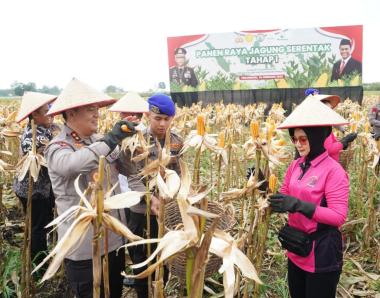 bkapolda-riau-pimpin-langsung-panen-perdana-jagung-di-kabupaten-kamparb