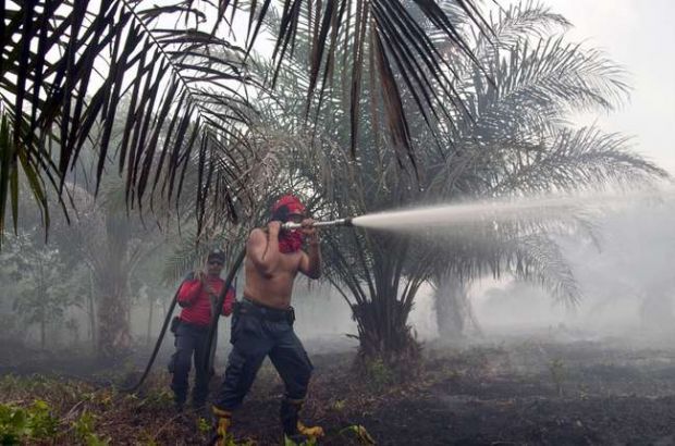 Sedang di Makassar, Wapres Jusuf Kalla Bilang SP3 Kasus Kebakaran Hutan di Riau Harus Dievaluasi
