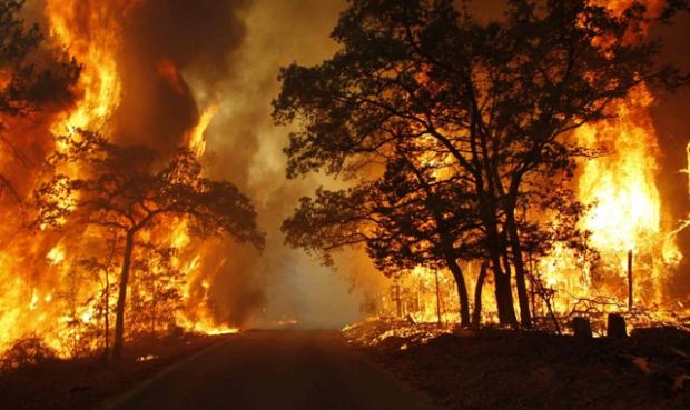 Kasus Kebakaran Hutan Di-SP3, Mabes Polri Sarankan Masyarakat Gugat Polda Riau