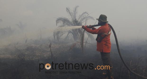 Jelang Sepekan, 30 Hektar Lahan Gambut yang Terbakar di Kotogasib Siak Belum Padam