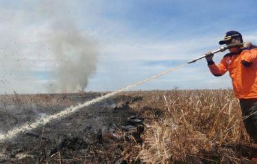 Lima Hari Berlalu, Kebakaran Hutan dan Lahan di Rokan Hilir belum Padam