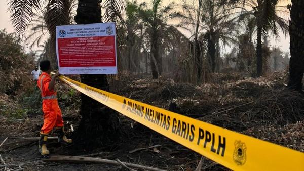 <b>Kementerian LH Segel PT SRL-Setop Operasional Pabrik Sawit Buntut Karhutla di Riau</b>