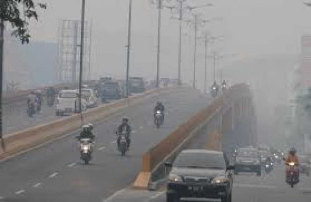 BMKG Riau Tuding Kabut Asap Pekat di Riau Gara-gara Kebakaran di Lahan