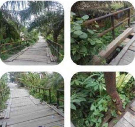 Satu-satunya Akses Keluar Masuk Kampung, Jembatan Suak Makmur di Siak Tinggal Menunggu Waktu Ambruk