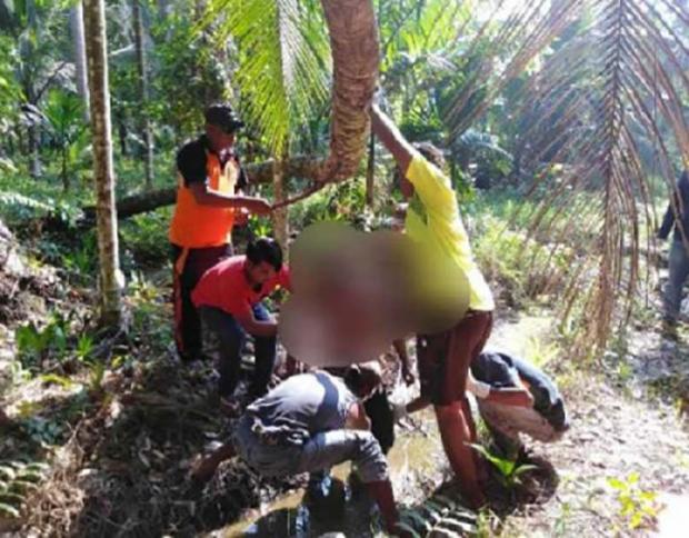 Kapolres Inhil Akui Oknum Anggota Polsek Sempat Lakukan Pemukulan ke Pria yang Tergantung di Pohon Kelapa
