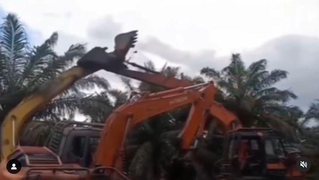 Diduga Konflik Lahan, Video 3 Ekskavator ”Baku Hantam” di Kebun Sawit di Siak Viral