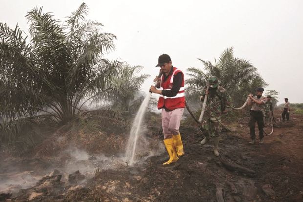 Kepala BNPB Bilang Kemampuan Perusahaan di Riau Padamkan Api Belum Memadai