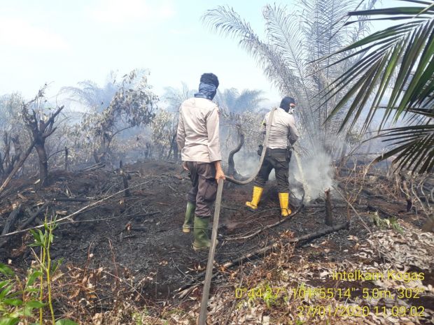 Lahan Gambut Seluas 5 Hektar di Siak Terbakar Lagi