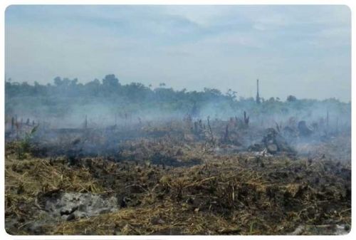 Dalam Hitungan Jam hingga Sore Tadi, Titik Panas di Riau Melonjak Tajam, 27 Hotspot Terdeteksi Satelit