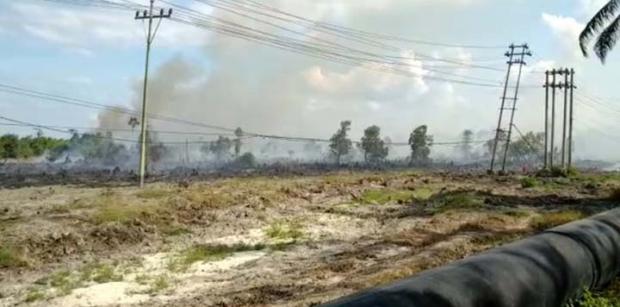 Kebakaran Landa Lahan Konsesi PT Chevron di Dumai