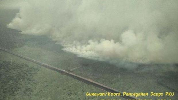 Kementerian LHK Usut Pemegang Konsesi Lahan Terbakar di Riau