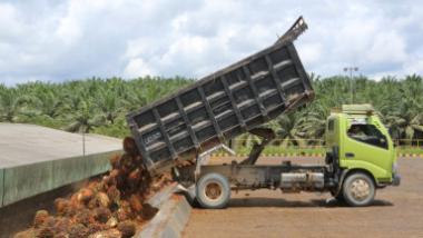 bpendapatan-negara-di-riau-turun-1170-persen-garagara-ekspor-cpo-anjlokb