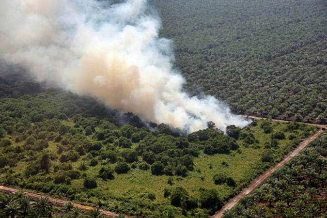 <b>Dua Kapolres di Riau Saling Lempar Tanggung Jawab Terkait Lokasi Kebakaran Hutan dan Lahan</b>