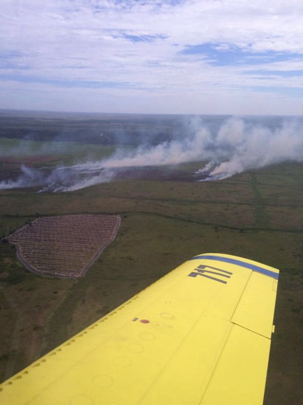 Puluhan Hektar Lahan PT Sawita Raya di Rohil Terbakar Lagi, Danlanud Curiga Ada Unsur Kesengajaan