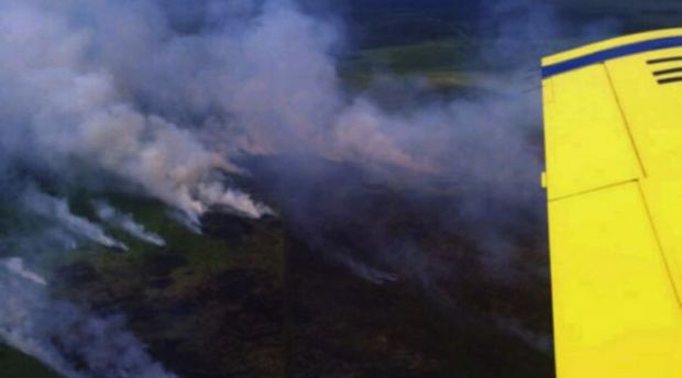 5 Pesawat Berjibaku Padamkan Kebakaran Lahan Sawit di Rohil