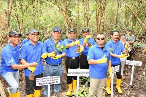 PT Chevron Pacific Indonesia dan YKAN Luncurkan Program Pengembangan Pengelolaan Pesisir Terpadu di Riau