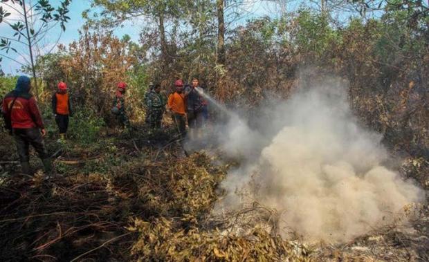 Awas Kebakaran Hutan, Titik Panas di Riau Melonjak Jadi 53 Titik