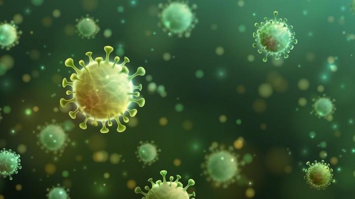 <b>Virus Chandipura yang Menyebar lewat Lalat Pasir dan Menyasar Anak-anak Telah Menewaskan 10 Pasien</b>