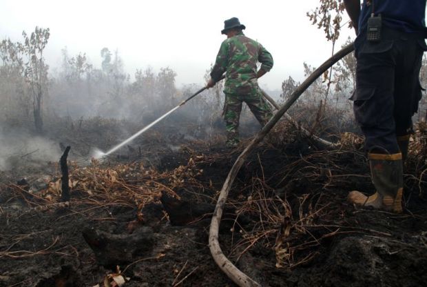 Sejak Januari 2016, Sudah 3.218 Hektar Hutan di Riau Terbakar
