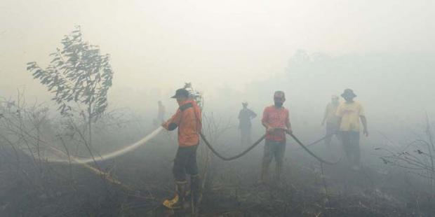 20 Hektar Hutan Lindung Bukitbetabuh di Indragiri Hulu Habis Terbakar