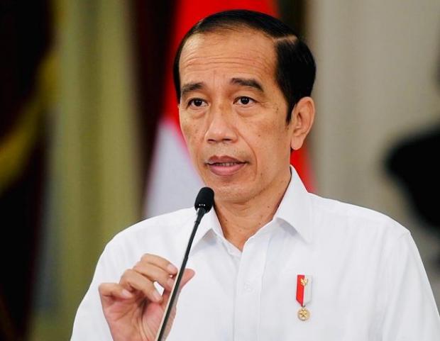 Presiden Jokowi Diminta Hentikan Alih Fungsi Hutan Mangrove