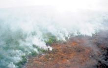 lahan-gambut-seluas-20-hektar-milik-pemerintah-desa-desa-pulaumuda-kabupaten-pelalawan-terbakar