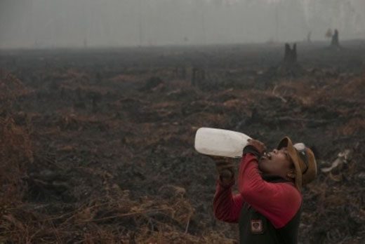 Anggota Panja Karhutla DPR RI Minta SP3 Perusahaan Terduga Pembakar Hutan Riau Dianulir