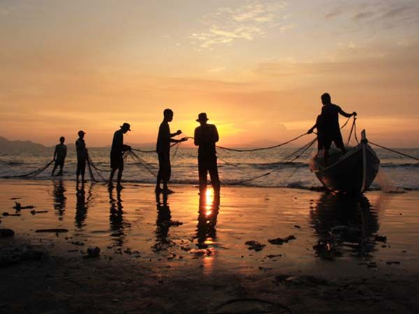 Diduga Ada Nelayan di Kuindra Indragiri Hilir Gunakan Racun Ikan