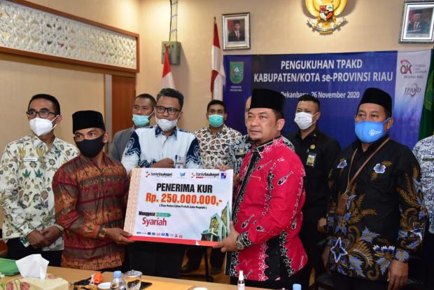 TPAKD Kabupaten/Kota se-Provinsi Riau Dikukuhkan secara Virtual